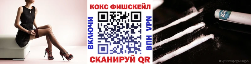 сколько стоит  Новоалександровск  КОКАИН Fish Scale 