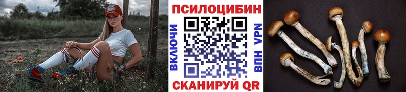 Псилоцибиновые грибы GOLDEN TEACHER  продажа наркотиков  Новоалександровск 