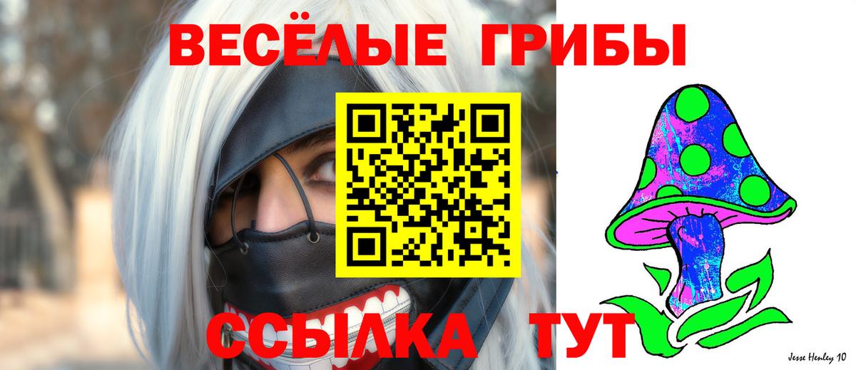 Галлюциногенные грибы MAGIC MUSHROOMS  Псилоцибиновые грибы GOLDEN TEACHER  Вход с VPN  Новоалександровск 